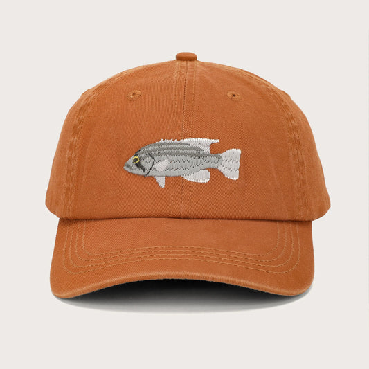 Dhufish Fish Lid - Salt & Sand Clothing