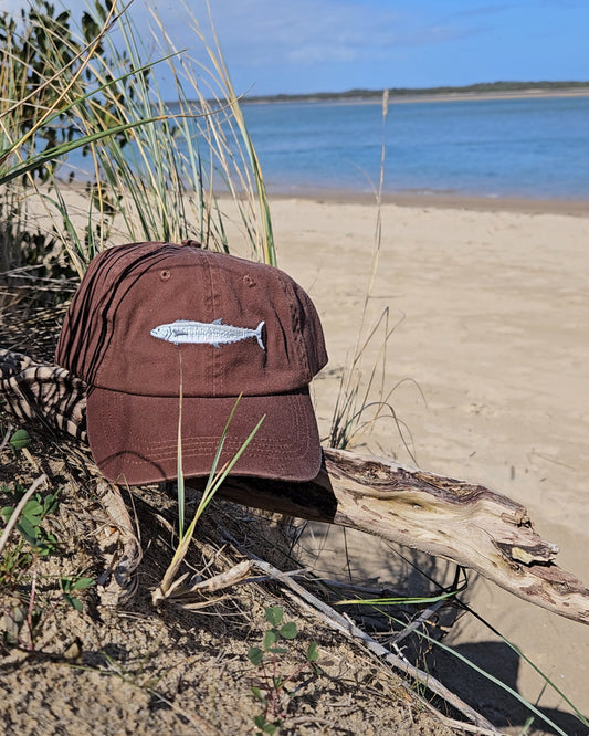 Spanish Mackerel Fish Lid - Salt & Sand Clothing