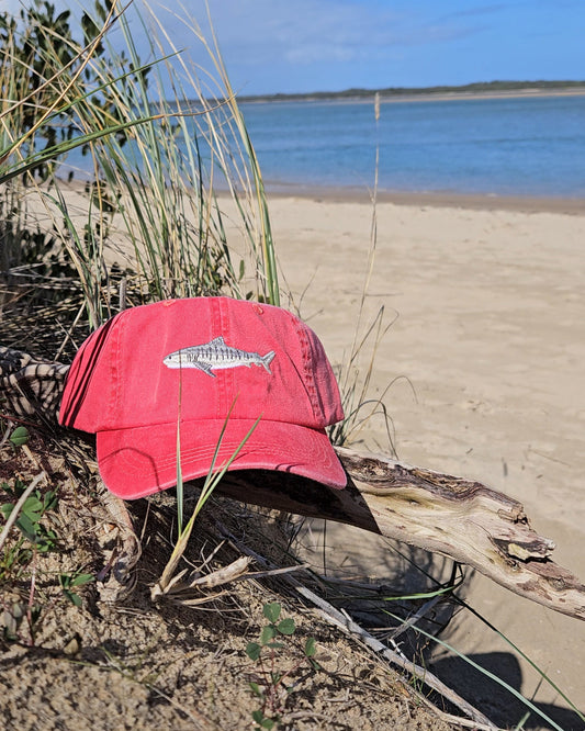 Tiger Shark Fish Lid - Salt & Sand Clothing