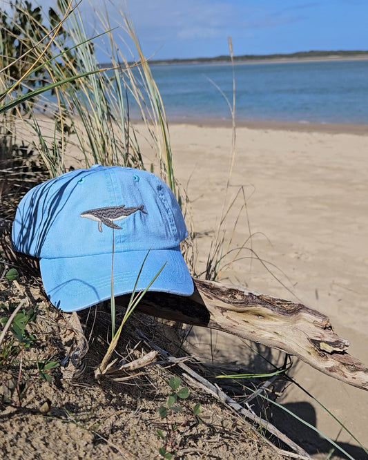 Humpback Whale Fish Lid - Salt & Sand Clothing