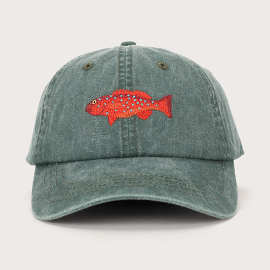 Coral Trout Fish Lid - Salt & Sand Clothing