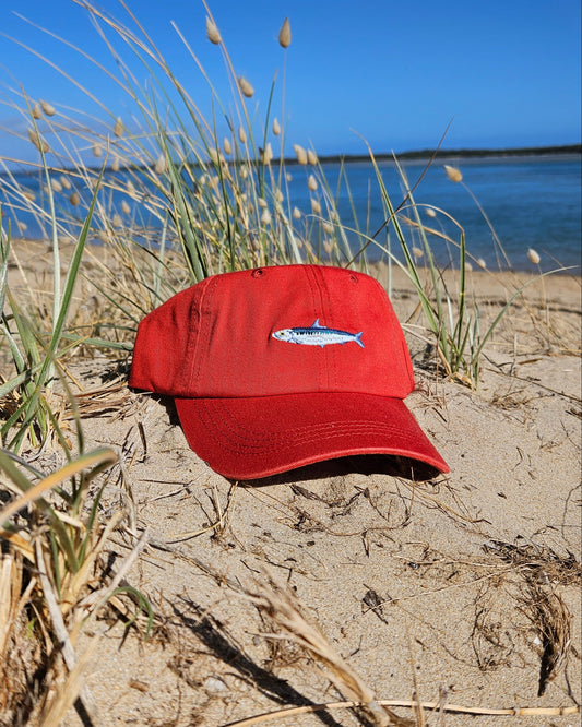 Sardine Fish Lid - Salt & Sand Clothing