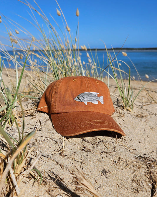 Dhufish Fish Lid - Salt & Sand Clothing